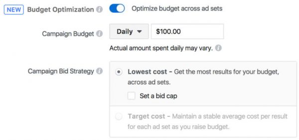 Campaign Budget Optimization